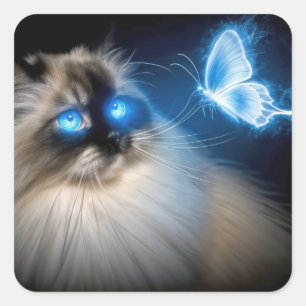 Ragdoll kat met blauwe neon vlinder vierkante sticker