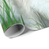 Ragdoll Kat met Hummer Art Gift Wrap Cadeaupapier (Rol Hoek)