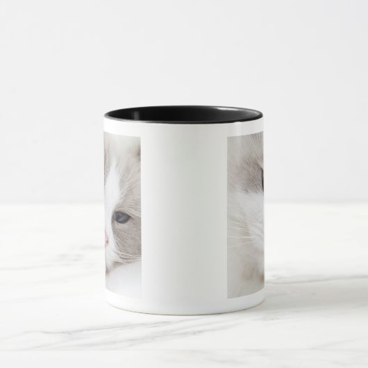 Ragdoll-kat Mok (Midden)