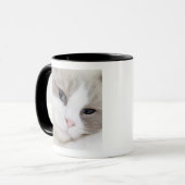 Ragdoll-kat Mok (Voorkant links)