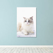 Ragdoll-kat op computertoetsenbord canvas afdruk (Insitu (Houten vloer))