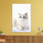 Ragdoll-kat op computertoetsenbord canvas afdruk (Insitu (Woonkamer))