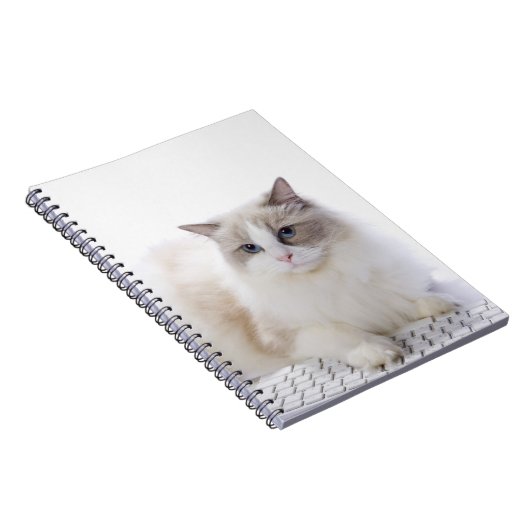 Ragdoll-kat op computertoetsenbord notitieboek (Rechterzijde)