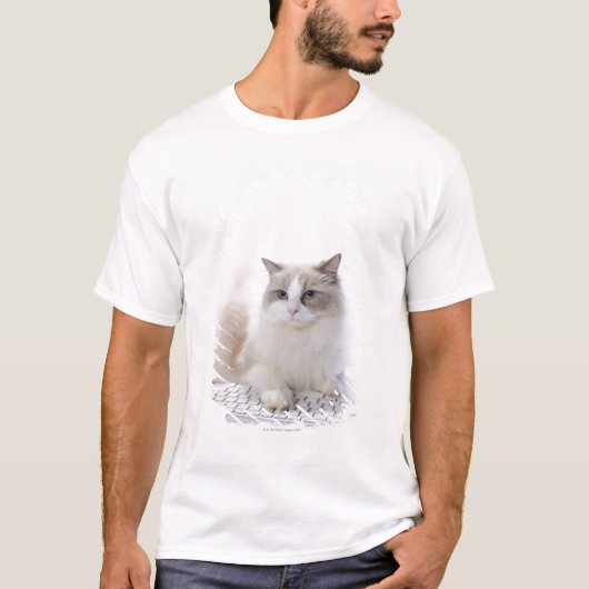 Ragdoll-kat op computertoetsenbord t-shirt (Voorkant)
