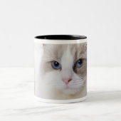 Ragdoll-kat op computertoetsenbord tweekleurige koffiemok (Center)