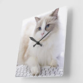 Ragdoll-kat op computertoetsenbord vierkante klok (Hoek)