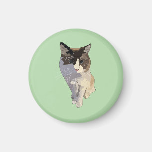 Ragdoll kat, pastelgroen, glas in lood magneet
