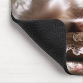 Ragdoll kat slaapt op kussen muismat (Hoek)