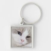 Ragdoll-kat Sleutelhanger (Voorkant)