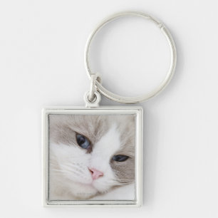 Ragdoll-kat Sleutelhanger