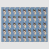 Ragdoll kat, Stof Blauw Tissuepapier (Voorkant)