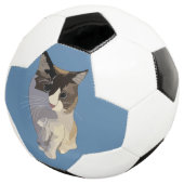 Ragdoll kat, Stof Blauw Voetbal (Drie kwart)