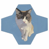 Ragdoll kat, Stof Blauw Voetbal (Enkel)