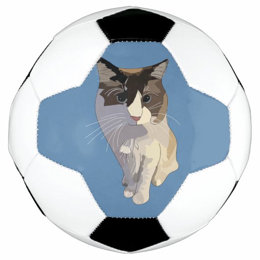 Ragdoll kat, Stof Blauw Voetbal (Voorkant)