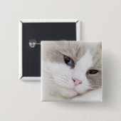 Ragdoll-kat Vierkante Button 5,1 Cm (Voorkant /achterkant)