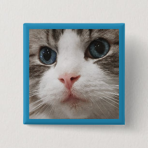 Ragdoll Kat Vierkante Button 5,1 Cm