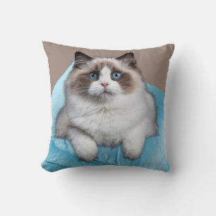 Ragdoll-kat vierkante sierkussen