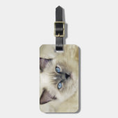 Ragdoll katje bagagelabel (Voorkant verticaal)