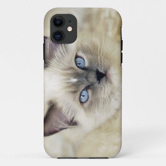 Ragdoll katje Case-Mate iPhone case (Achterkant)