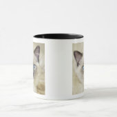 Ragdoll katje mok (Midden)