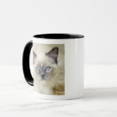 Ragdoll katje mok (Voorkant links)