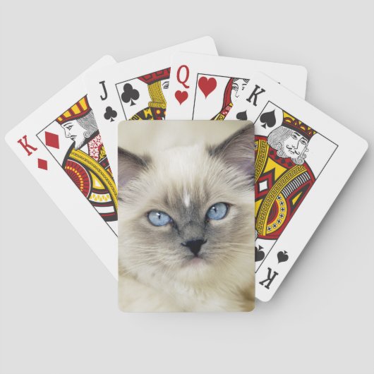 Ragdoll katje pokerkaarten (Achterkant)
