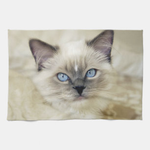 Ragdoll katje theedoek