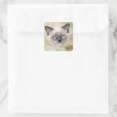Ragdoll katje vierkante sticker (Tas)