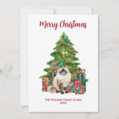 Ragdoll Kattenfamilie Kerstmis Feestdagenkaart (Voorkant)