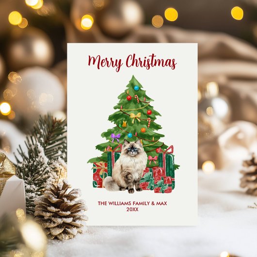 Ragdoll Kattenfamilie Kerstmis Feestdagenkaart