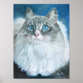 Ragdoll-kattenoliesschilderij Poster (Voorkant)