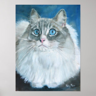 Ragdoll-kattenoliesschilderij Poster