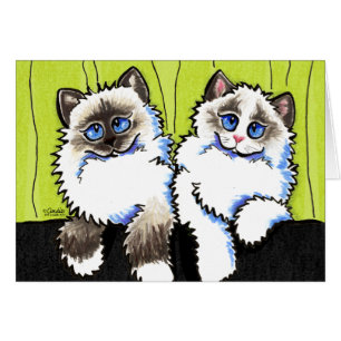 Ragdoll kattenpaar van dollen uit de Leash Art™