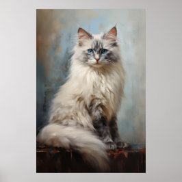 Ragdoll kattenportret poster