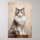 Ragdoll kattenportret poster (Voorkant)