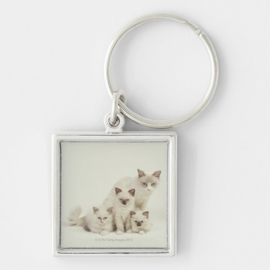 Ragdoll kattenvrouw met kittens sleutelhanger (Voorkant)