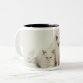 Ragdoll kattenvrouw met kittens tweekleurige koffiemok (Voorkant links)