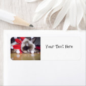 Ragdoll Kerstmis Etiket (Insitu)