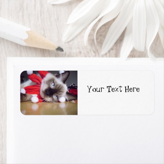Ragdoll Kerstmis Etiket (Insitu)