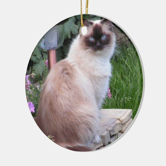Ragdoll-kerstversiering Keramisch Ornament (Links)