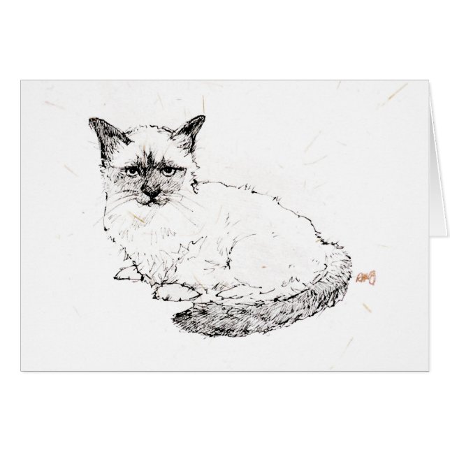 Ragdoll Kitten (Voorkant Horizontaal)