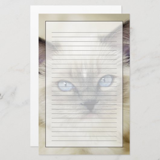 Ragdoll kitten briefpapier (Voorkant / Achterkant)