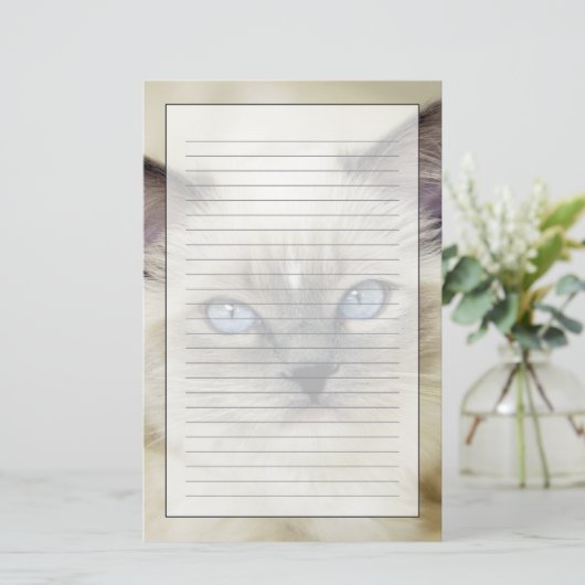 Ragdoll kitten briefpapier (Staand voorkant)