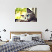 Ragdoll Kitten Canvas Afdruk (Insitu (Slaapkamer))