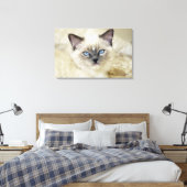 Ragdoll kitten canvas afdruk (Insitu (Slaapkamer))