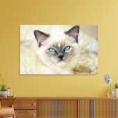 Ragdoll kitten canvas afdruk (Insitu (Woonkamer))