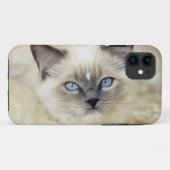 Ragdoll kitten Case-Mate iPhone case (Achterkant (horizontaal))