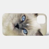 Ragdoll kitten Case-Mate iPhone case (Achterkant (horizontaal))