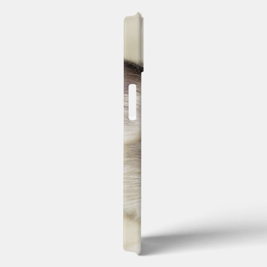 Ragdoll kitten Case-Mate iPhone case (Achterkant / Rechts)