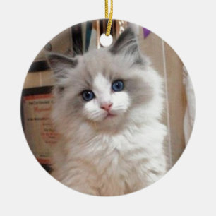 Ragdoll Kitten Cutie Keramisch Ornament